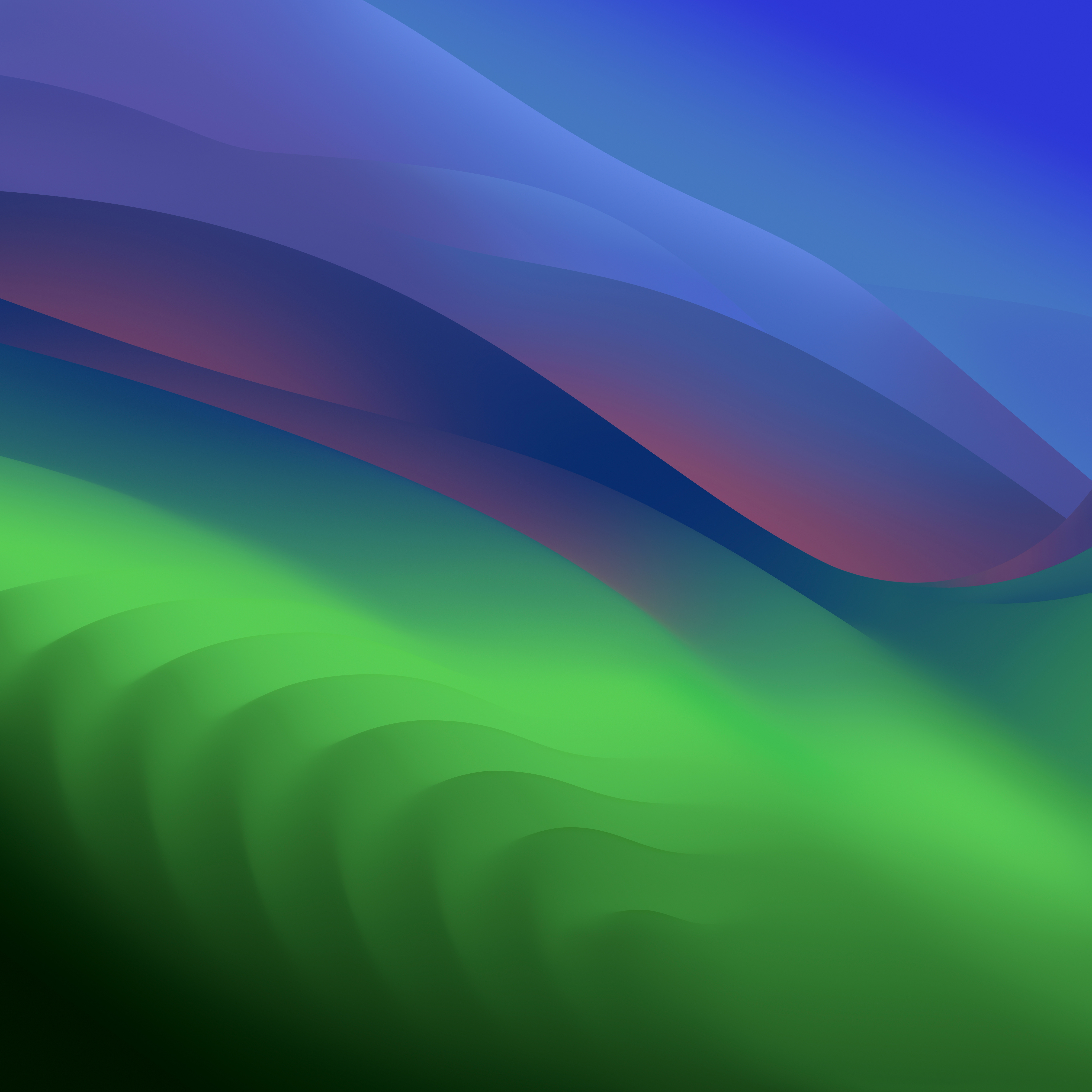Test cette image